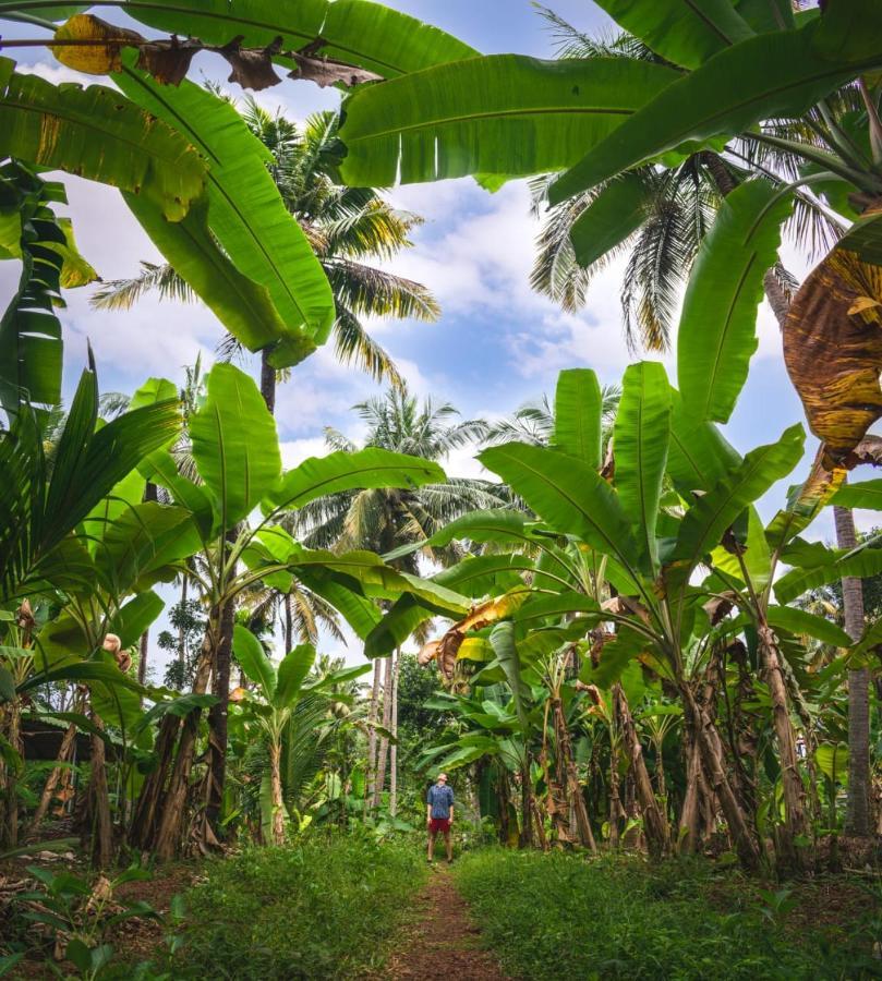 Готель Secret Paradise Варкала Екстер'єр фото